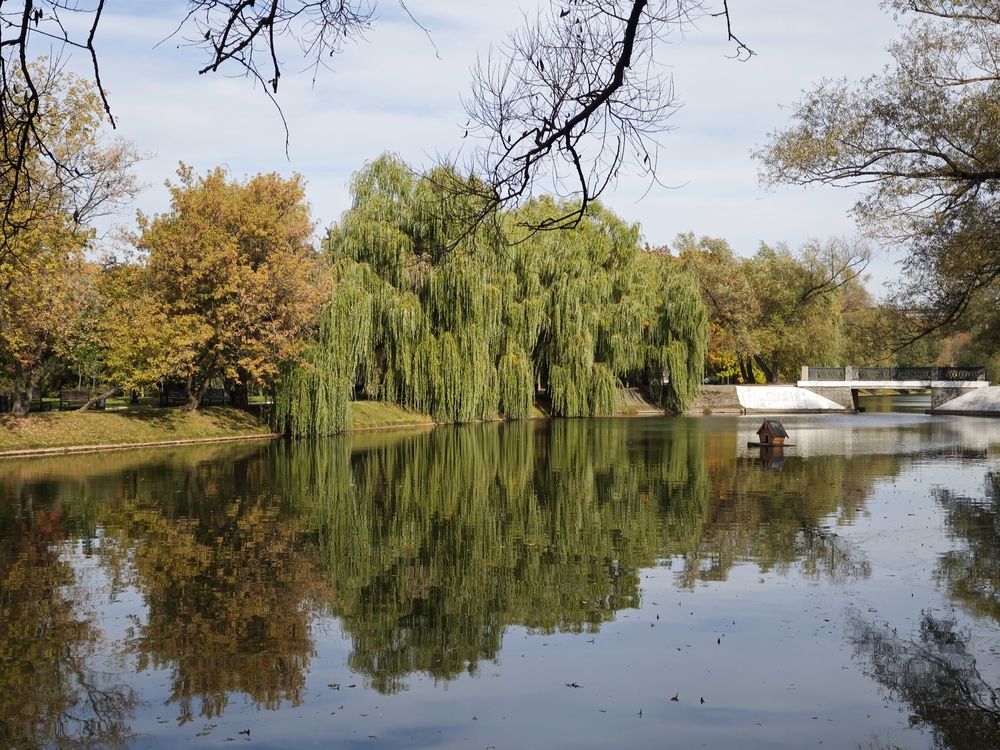 Photograph by Елена Шоколенко