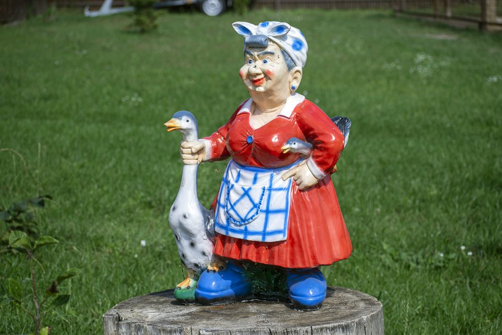 Фотография автора Андрей Гордиенко