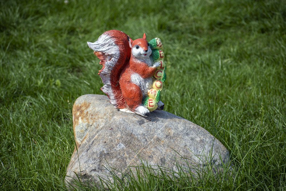 Фотография автора Андрей Гордиенко