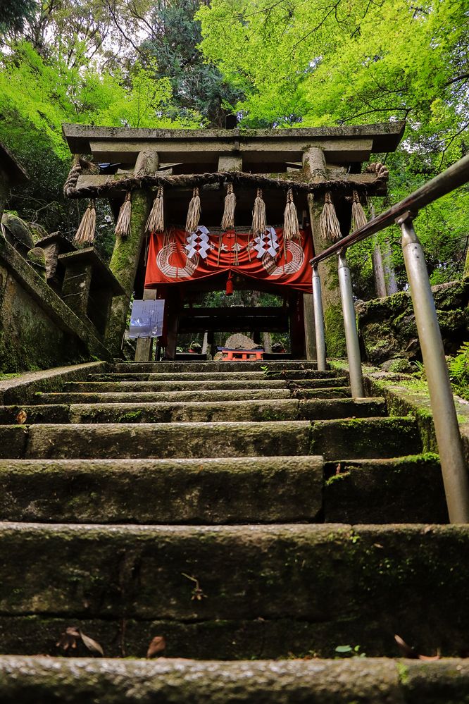 Photograph by Валерия Лунина