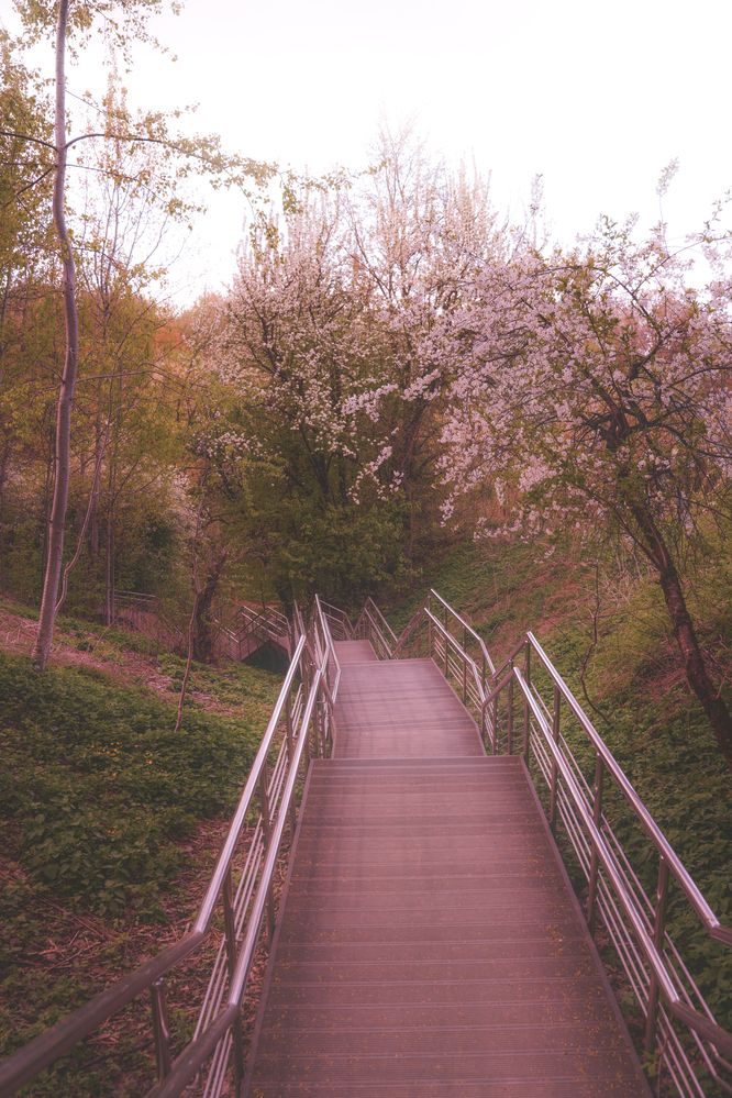 Photograph by Валерия Лунина