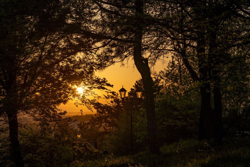 Photograph by 