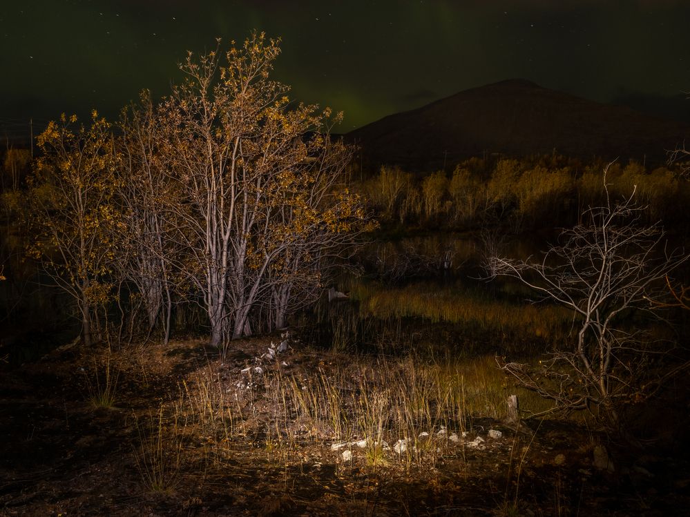 Photograph by ARTEM KORZHUKOV