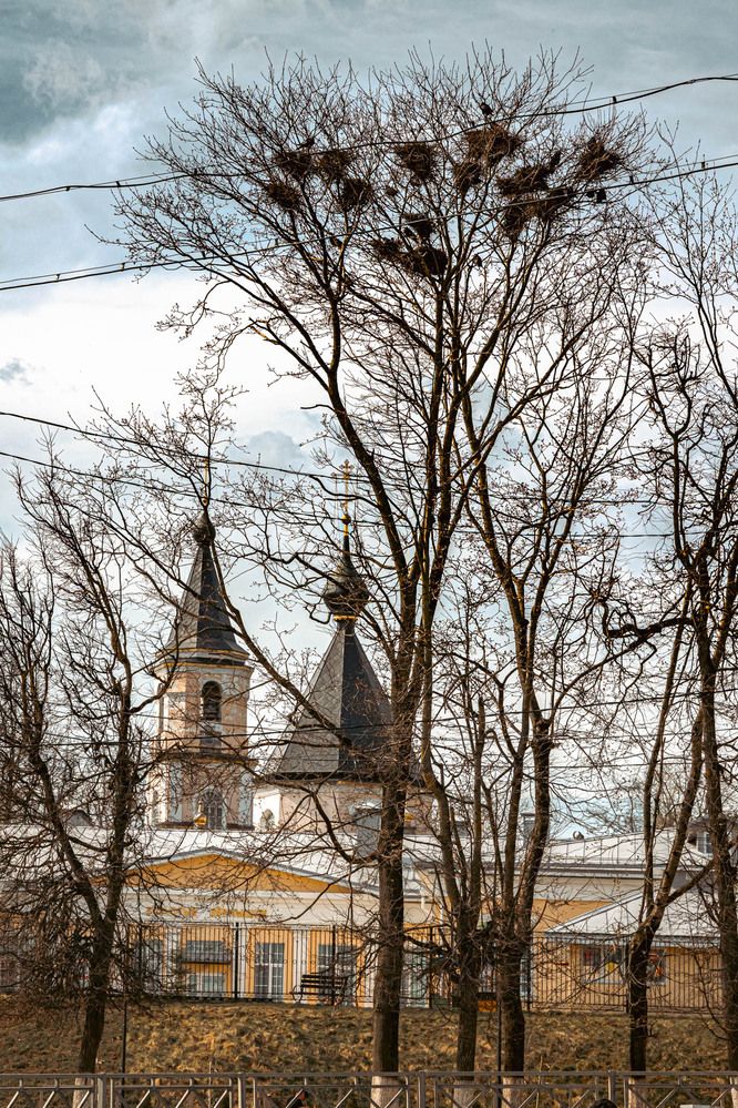 #несаврасов