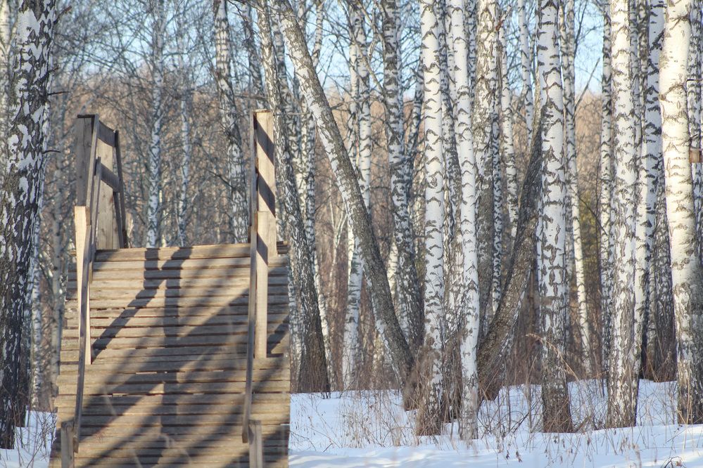 Photograph by Kim Natasha