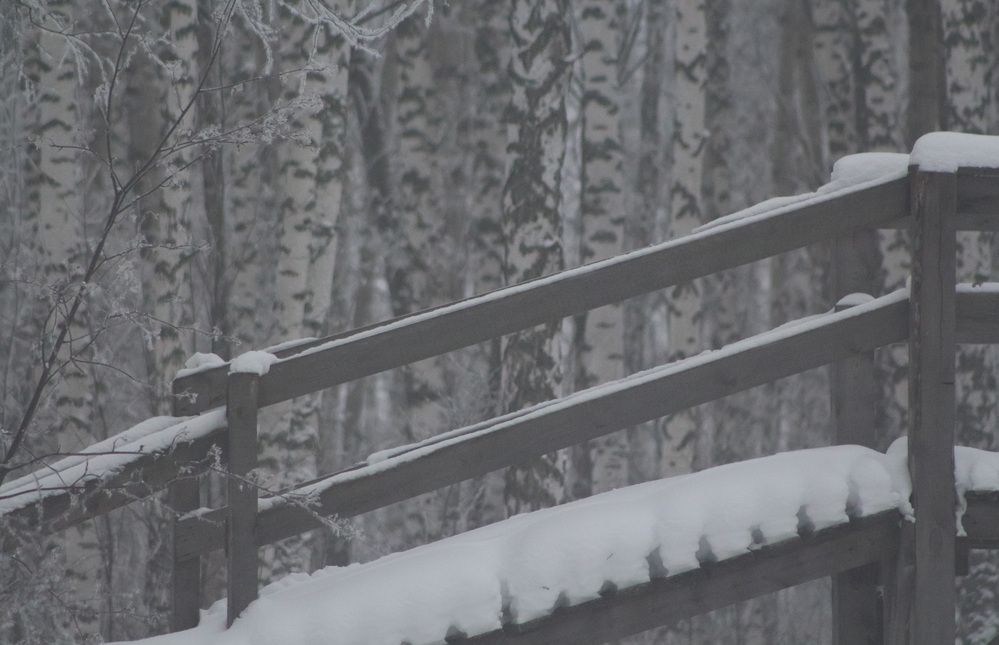 Photograph by Kim Natasha