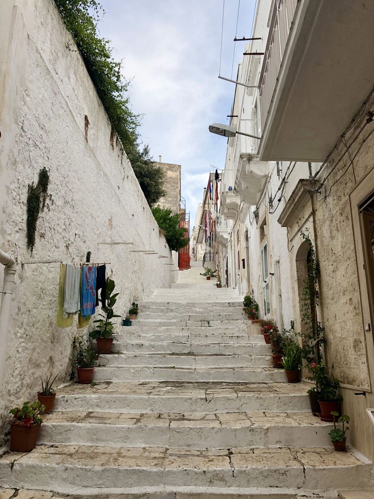 Photograph by Nune Pashayan