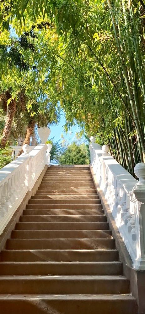 Фотография автора Asya