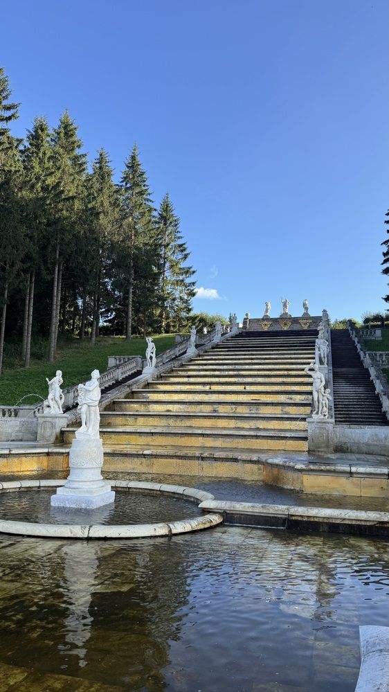 Фотография автора Светлана Ляпина