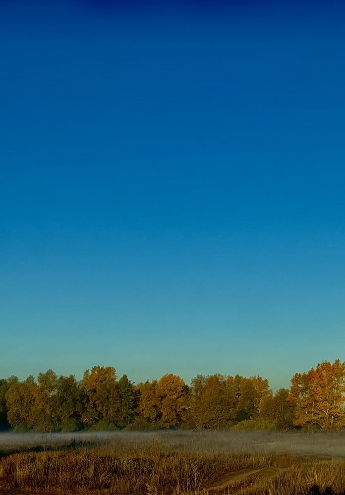 Photograph by Динара Dinara