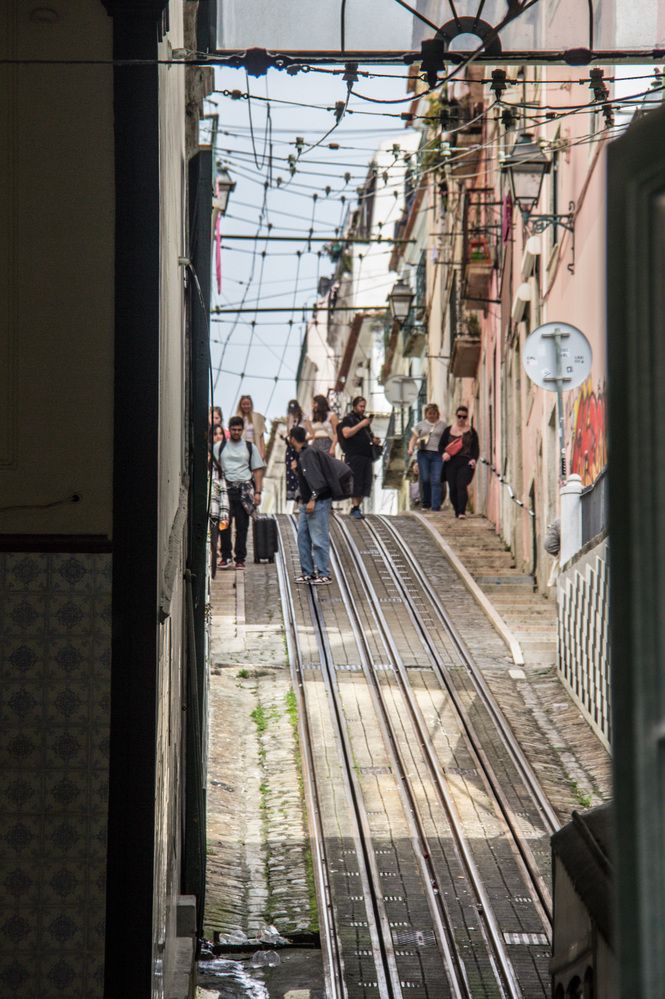 Photograph by Ernest Spiteri Gonzi