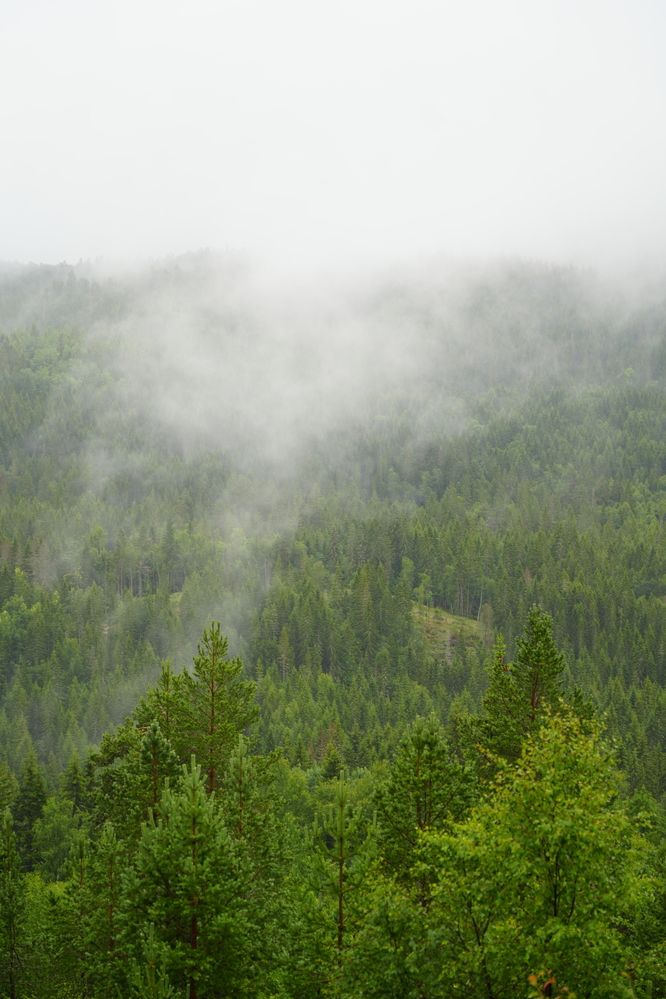 Photograph by Юлия Альтман