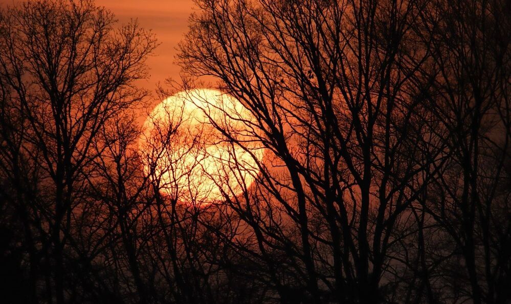 Photograph by Mafaz Abdeen