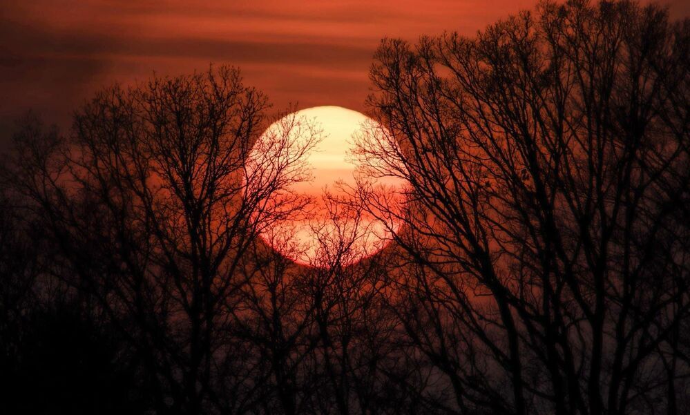 Photograph by Mafaz Abdeen