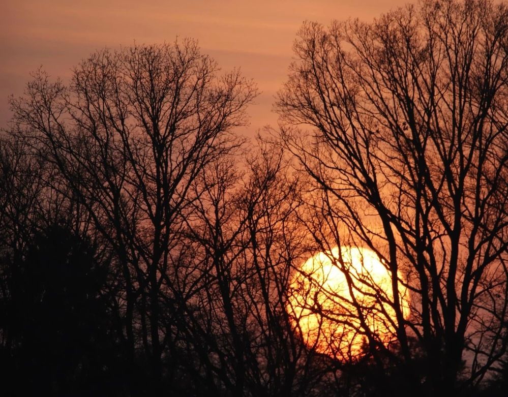 Photograph by Mafaz Abdeen