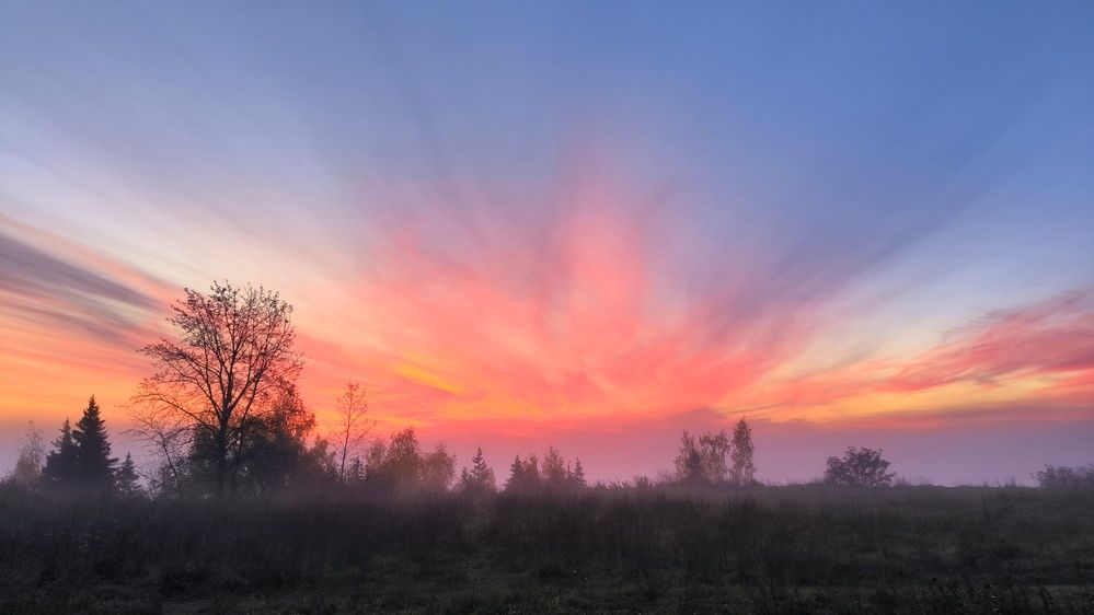 Photograph by ANDREY PERESHEIN