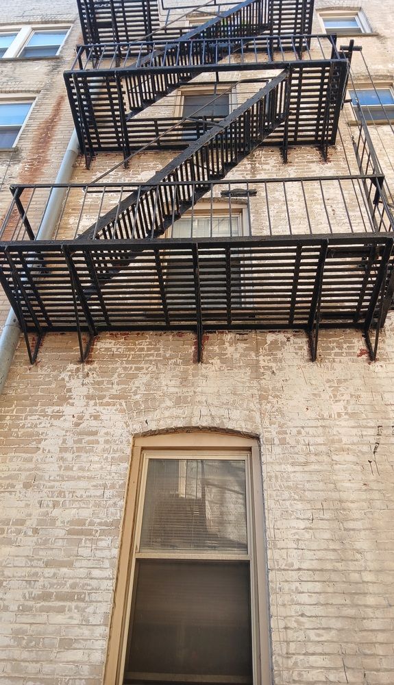 Фотография автора Adriana Rocha