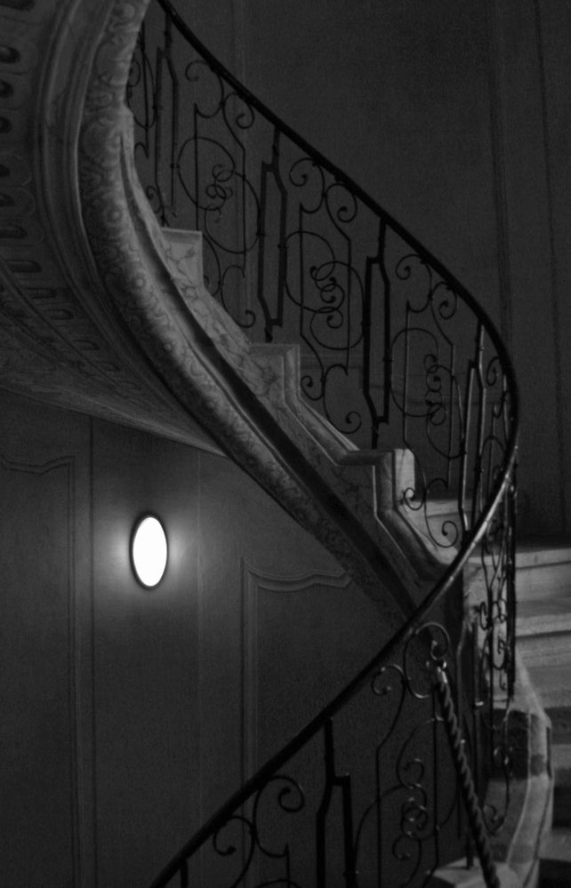 Photograph by Olga Kot