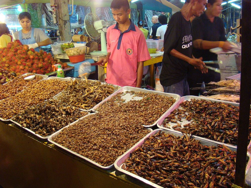 Фотография автора Игорь В. Панфилов