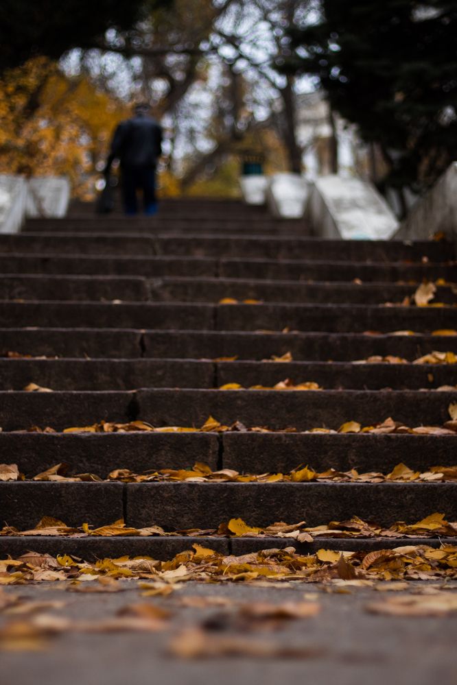 Photograph by Артём Гуцалюк