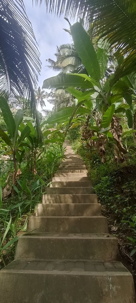 Photograph by Лиза Малыгина