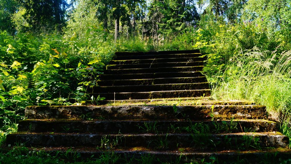 Photograph by Лиза Малыгина