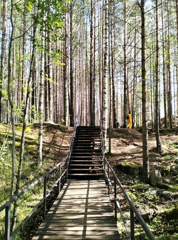 Photograph by Сергей Журавлев