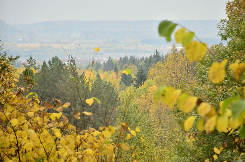 Фотография автора Алексей Власов
