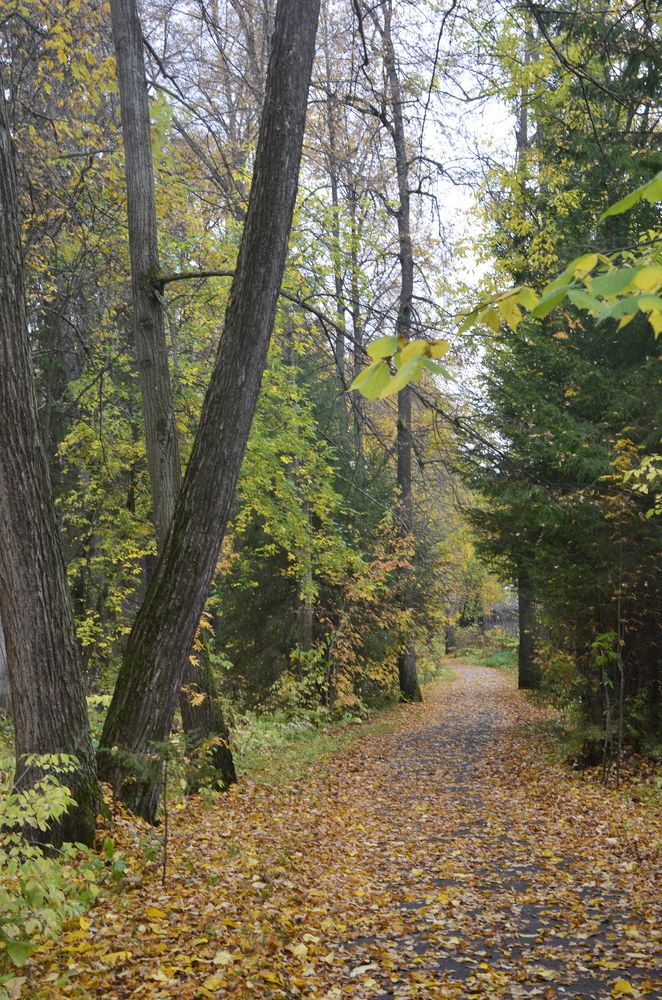 Фотография автора Алексей Власов
