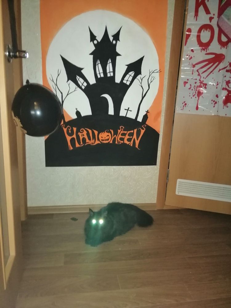 Photograph by Лиза Малыгина