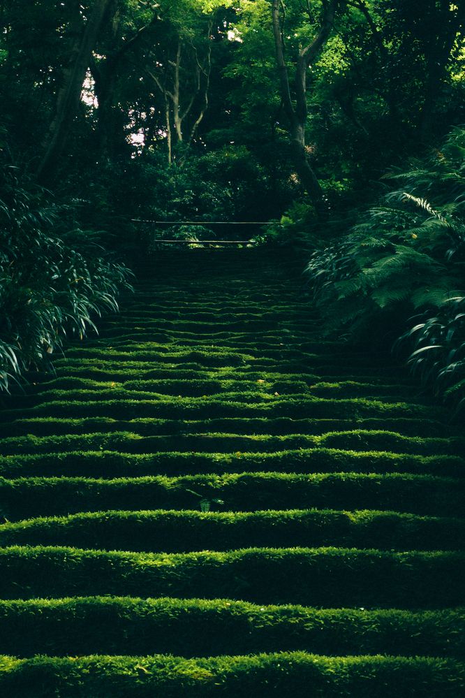 Фотография автора Gerun Ekaterina