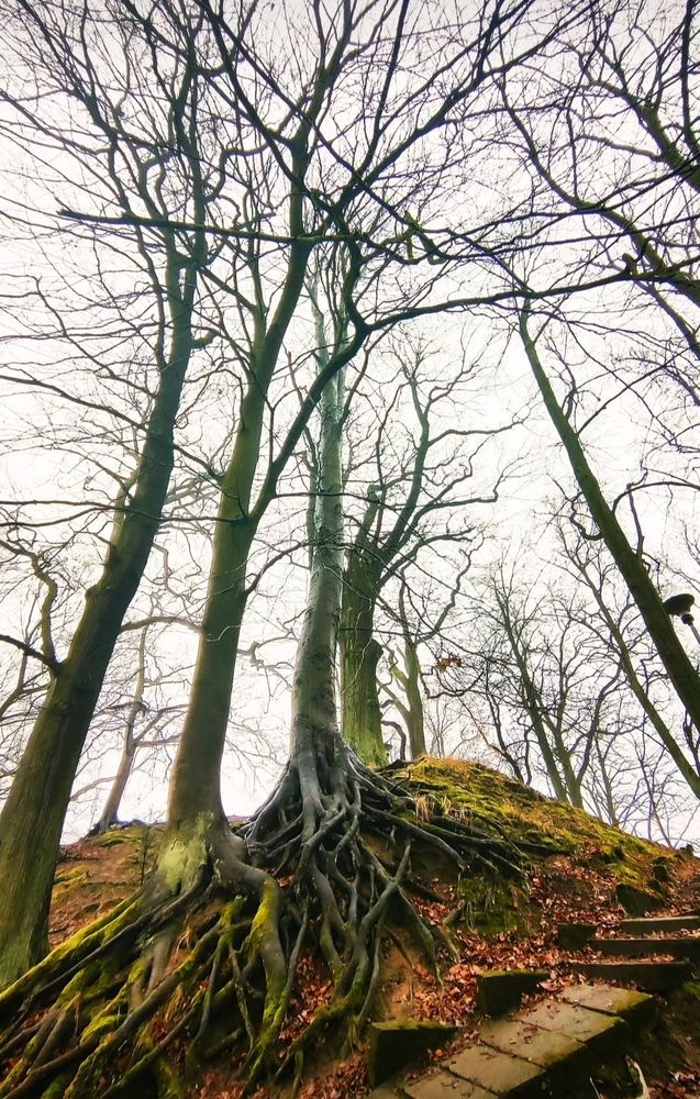 Photograph by Дарья