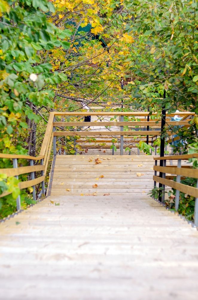 Photograph by Любовь Бусова