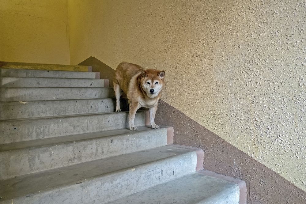 Photograph by  Валерий