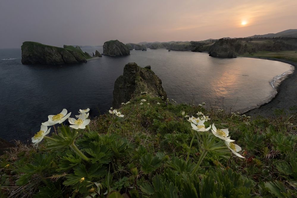 Photograph by Елена Вторушина