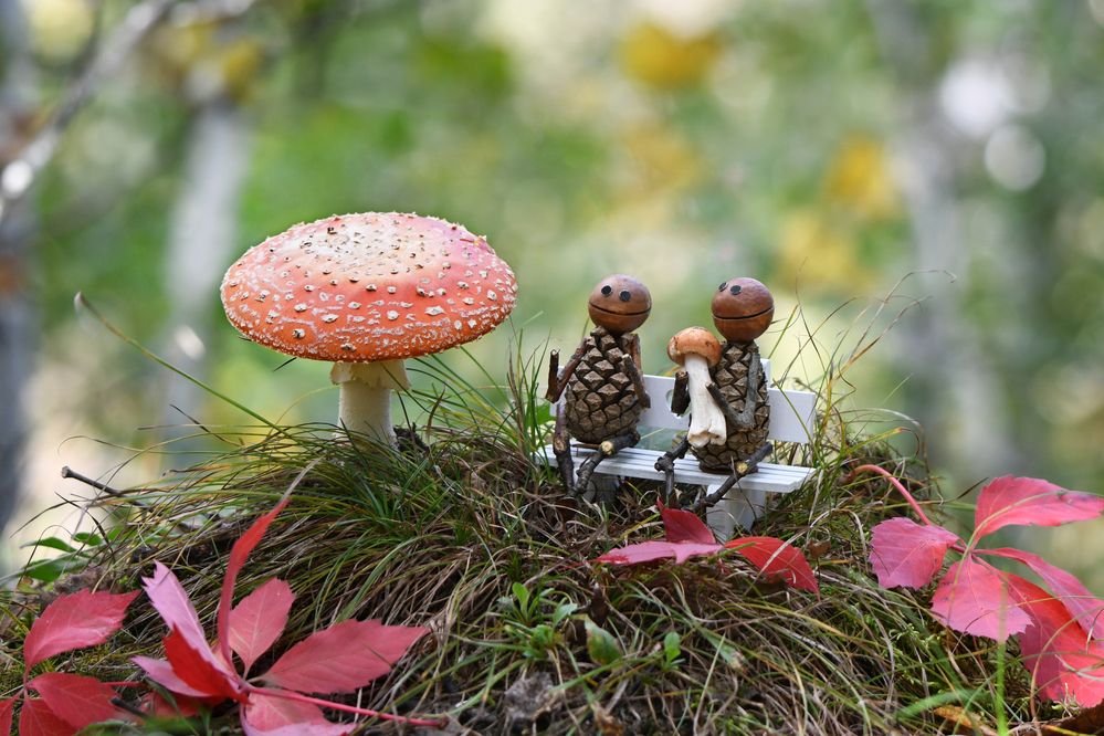 Замечаем красоту