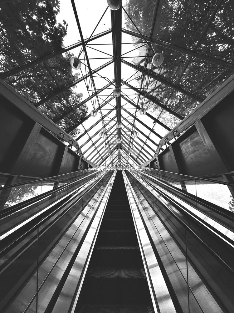 Photograph by Елена Чулюнина