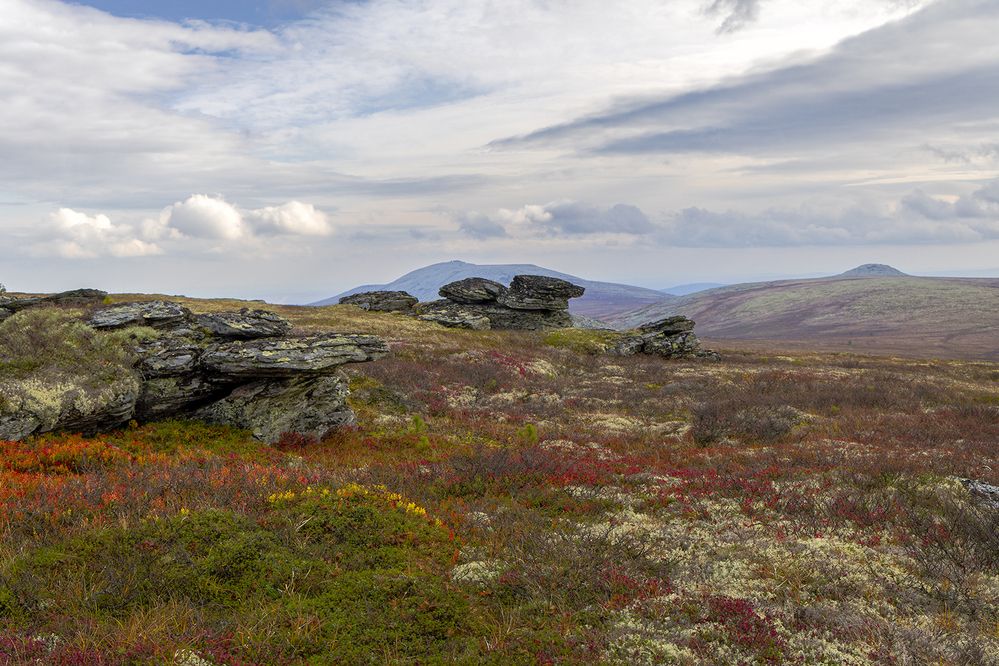 Photograph by Сергей Фомин