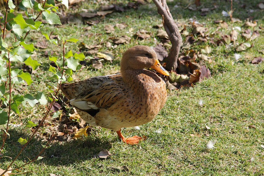 Фотография автора Юрий Еремин