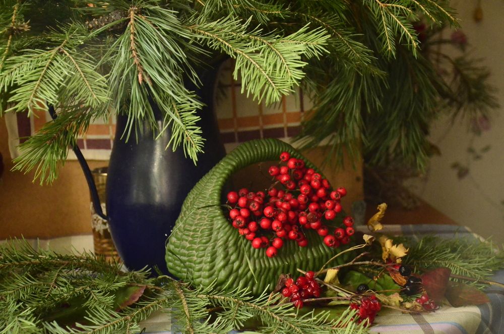 Фотография автора Алексей Власов