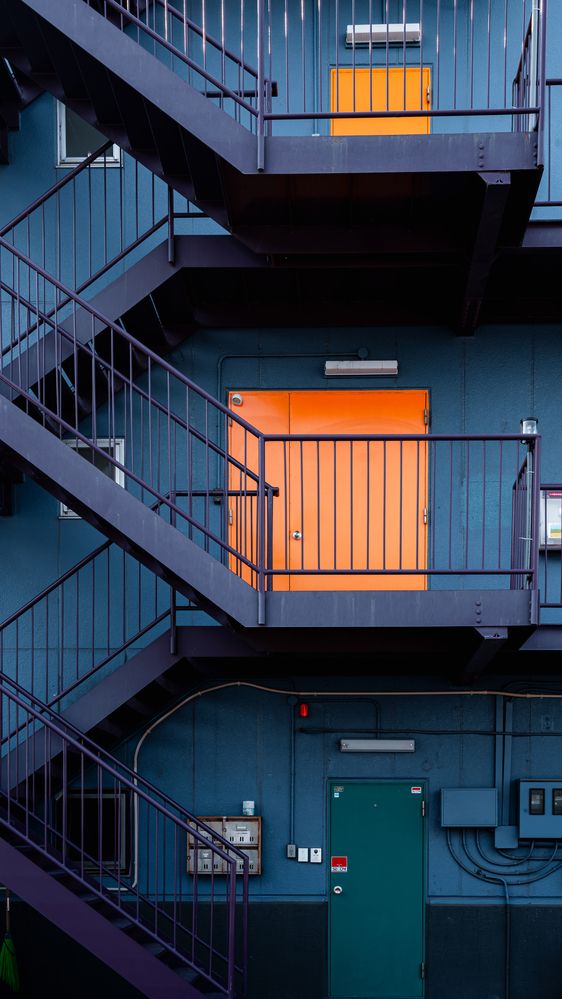 Photograph by Suzuki Ryuta