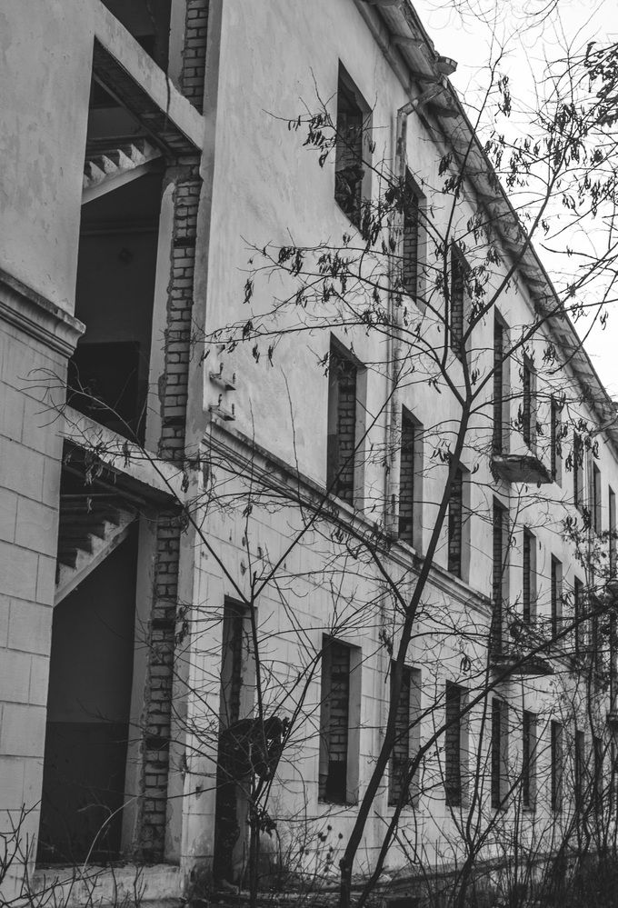 Photograph by Галчонок Ахмерова