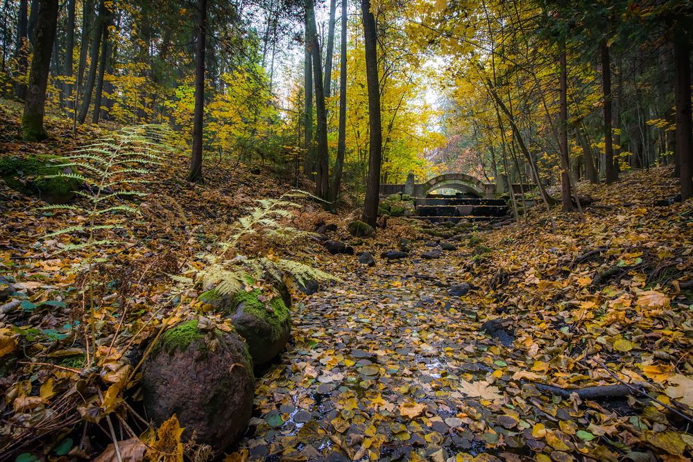 Photograph by Валерий Смирнов