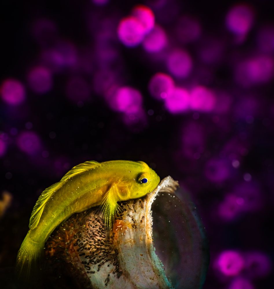 Photograph by Magali Márquez