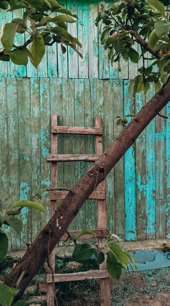 Фотография автора Мария