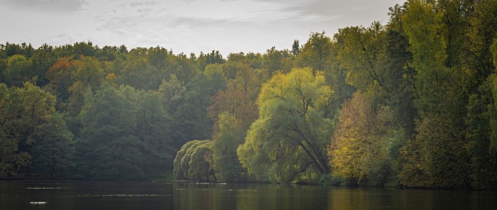 Photograph by Сергей Басов