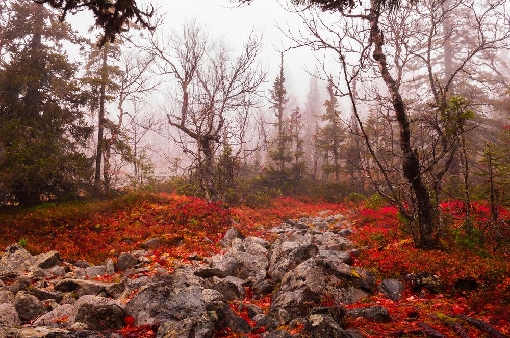 Photograph by Абаимов Александр