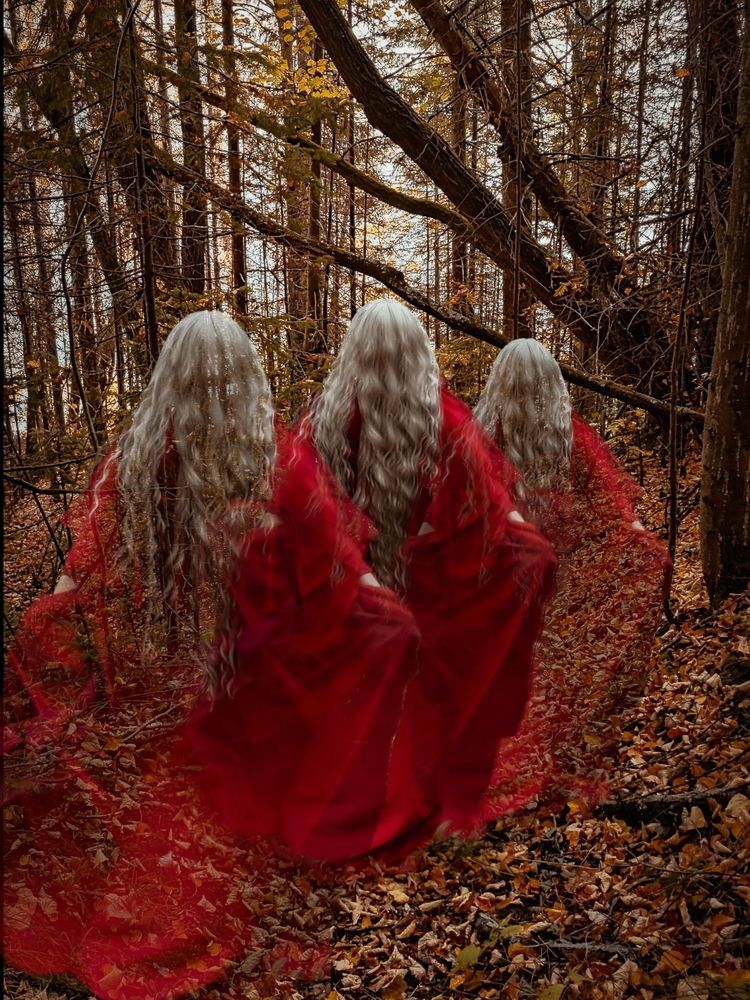 Photograph by Елена