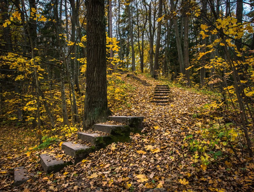 Photograph by Валерий Смирнов