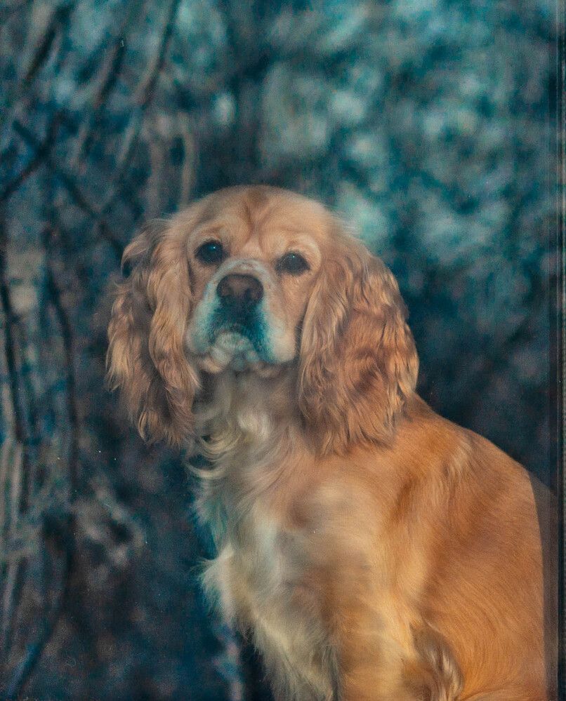 Photograph by Владимир Синцов